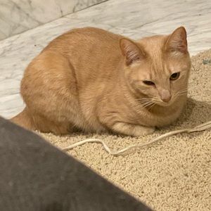 Meet your Posher, Logan